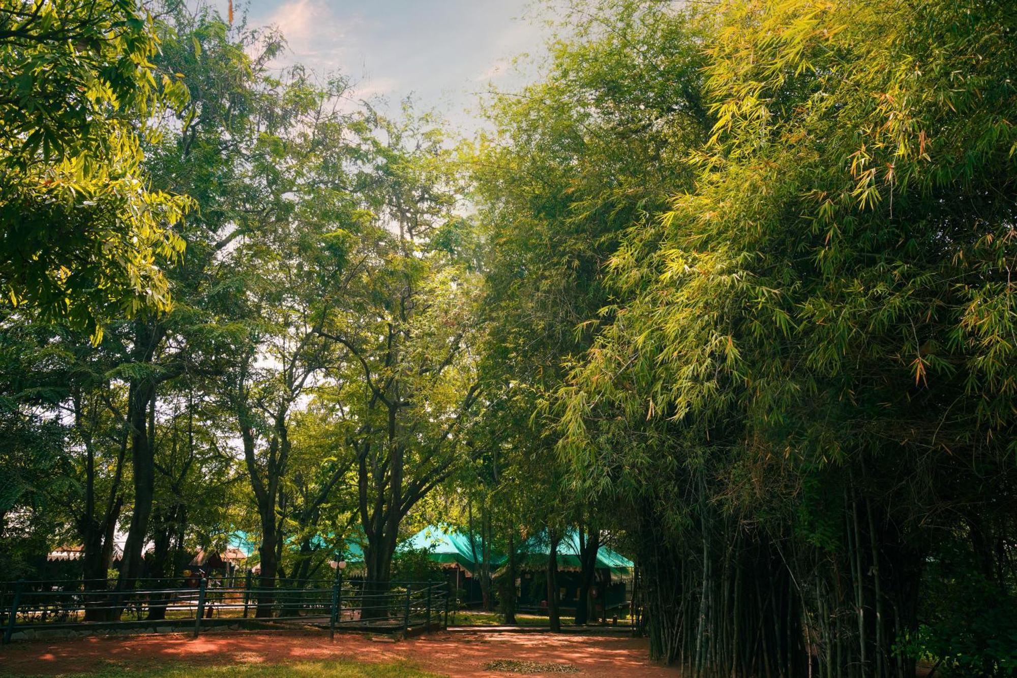 Olde Bangalore Resort And Wellness Center Devanahalli Екстериор снимка